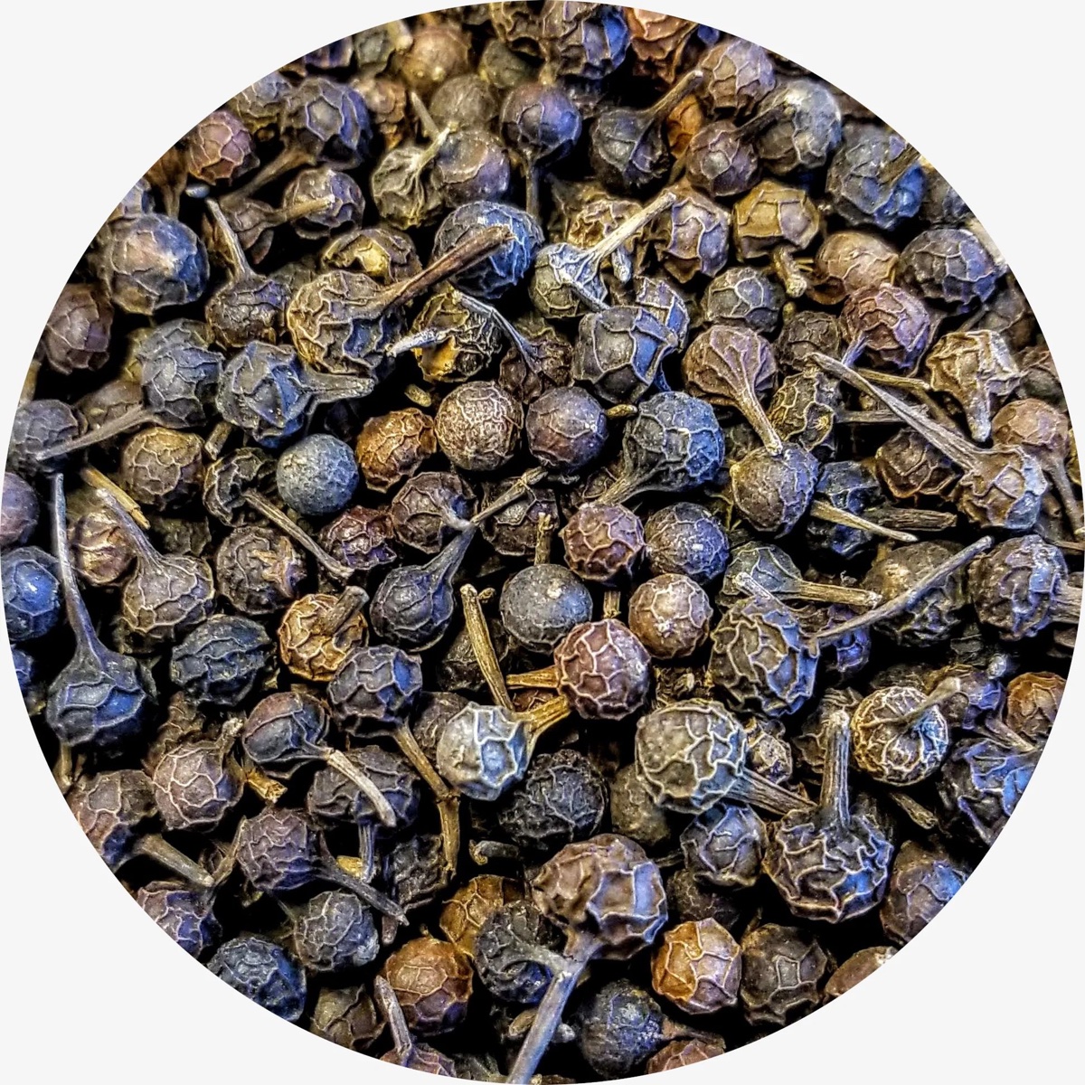 Cubebs