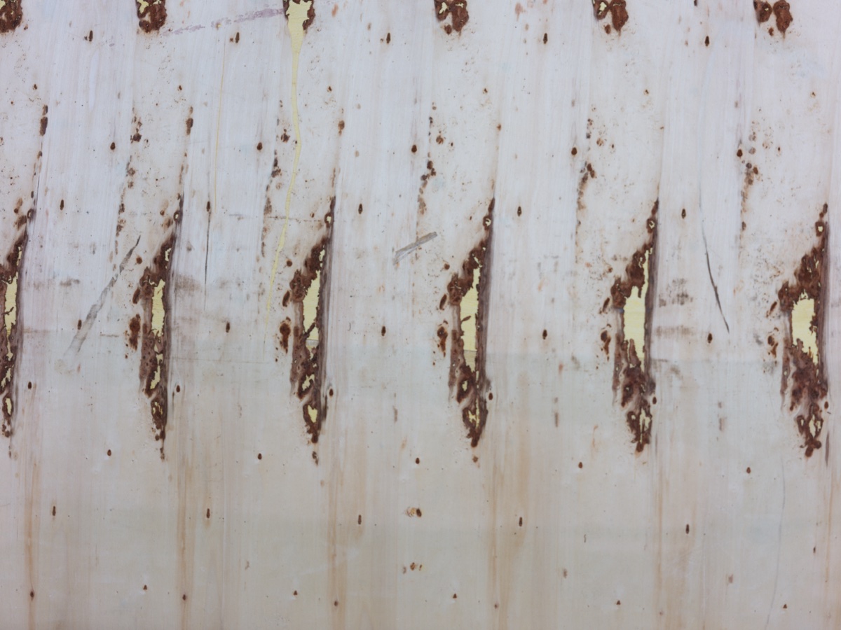 Veneer